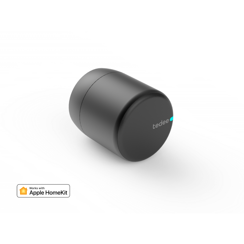 ZAMEK TEDEE PRO BY GERDA (SREBRNY)