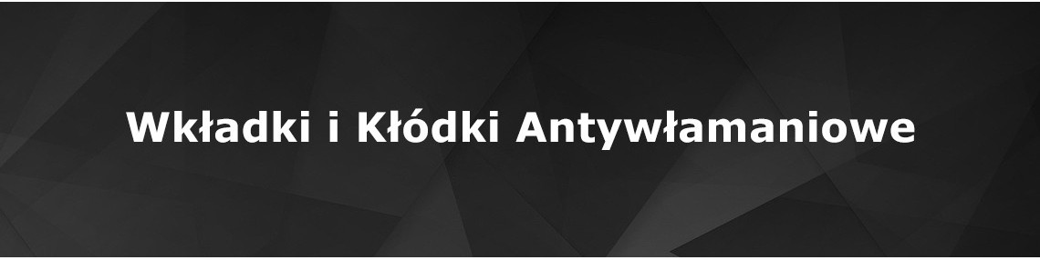 Wkładki i kłódki antywłamaniowe