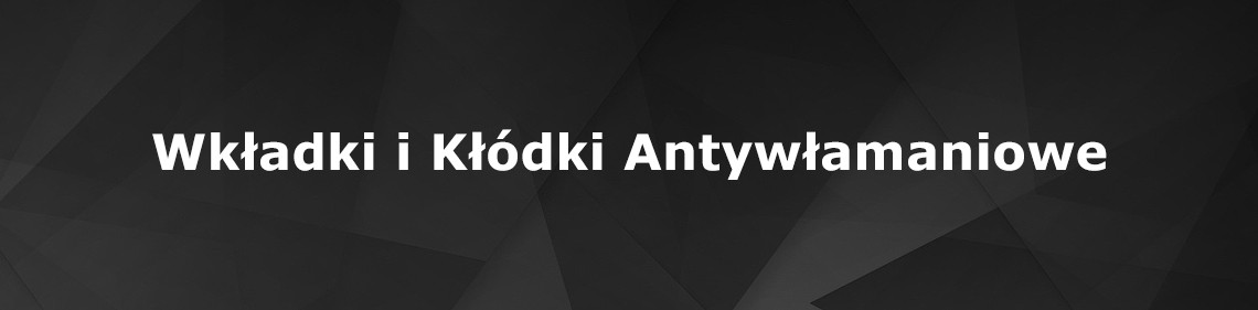 Wkładki i kłódki antywłamaniowe